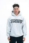 SUDADERA STAMINA GRIS